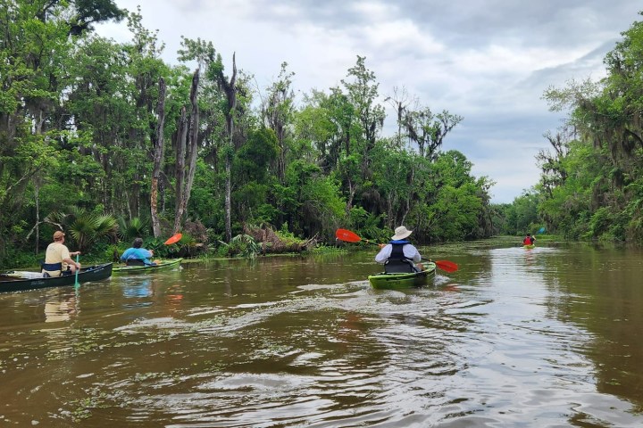 a group of people riding on the back of a boat in the water