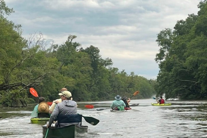 a group of people rowing a boat floating on a body of water