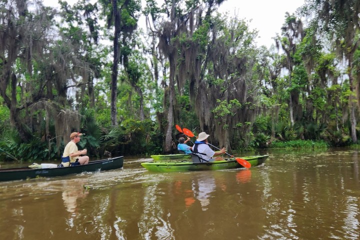 a group of people rowing a boat in the water